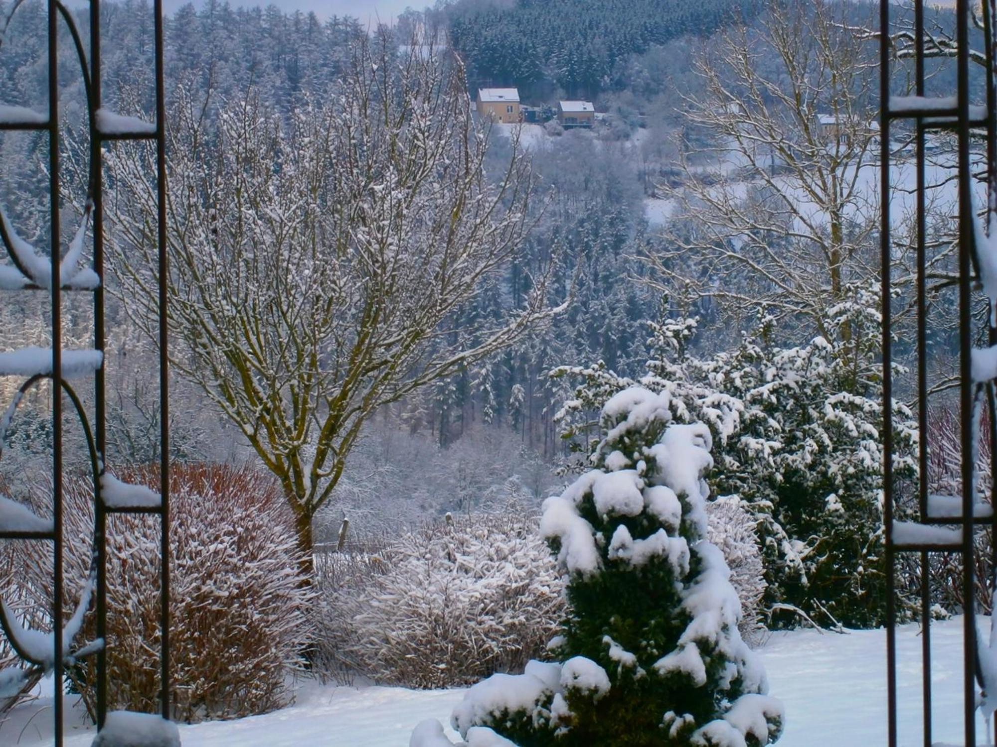 Bed and Breakfast Le Renard'Or à Trois-Ponts Extérieur photo