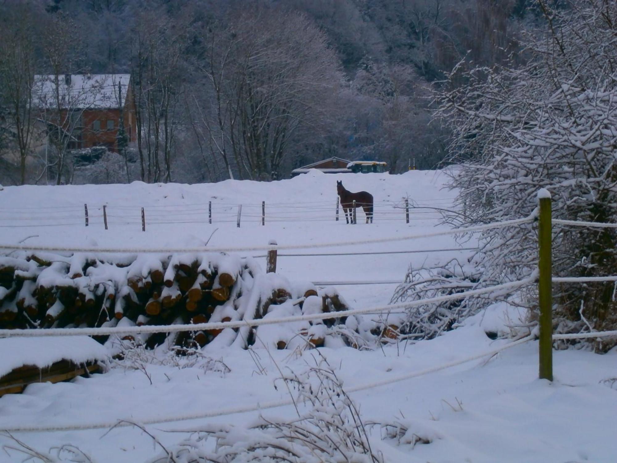 Bed and Breakfast Le Renard'Or à Trois-Ponts Extérieur photo