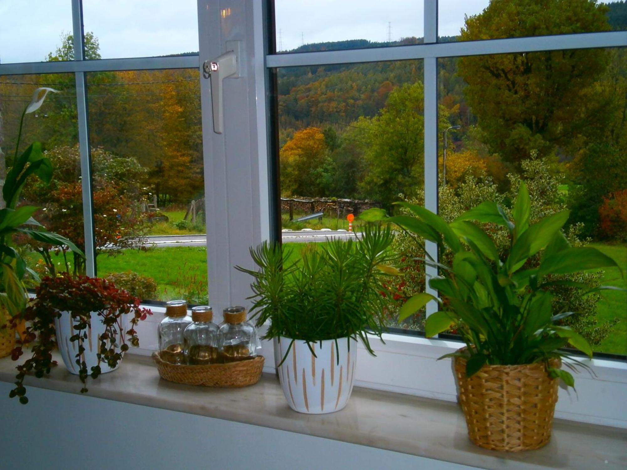 Bed and Breakfast Le Renard'Or à Trois-Ponts Extérieur photo