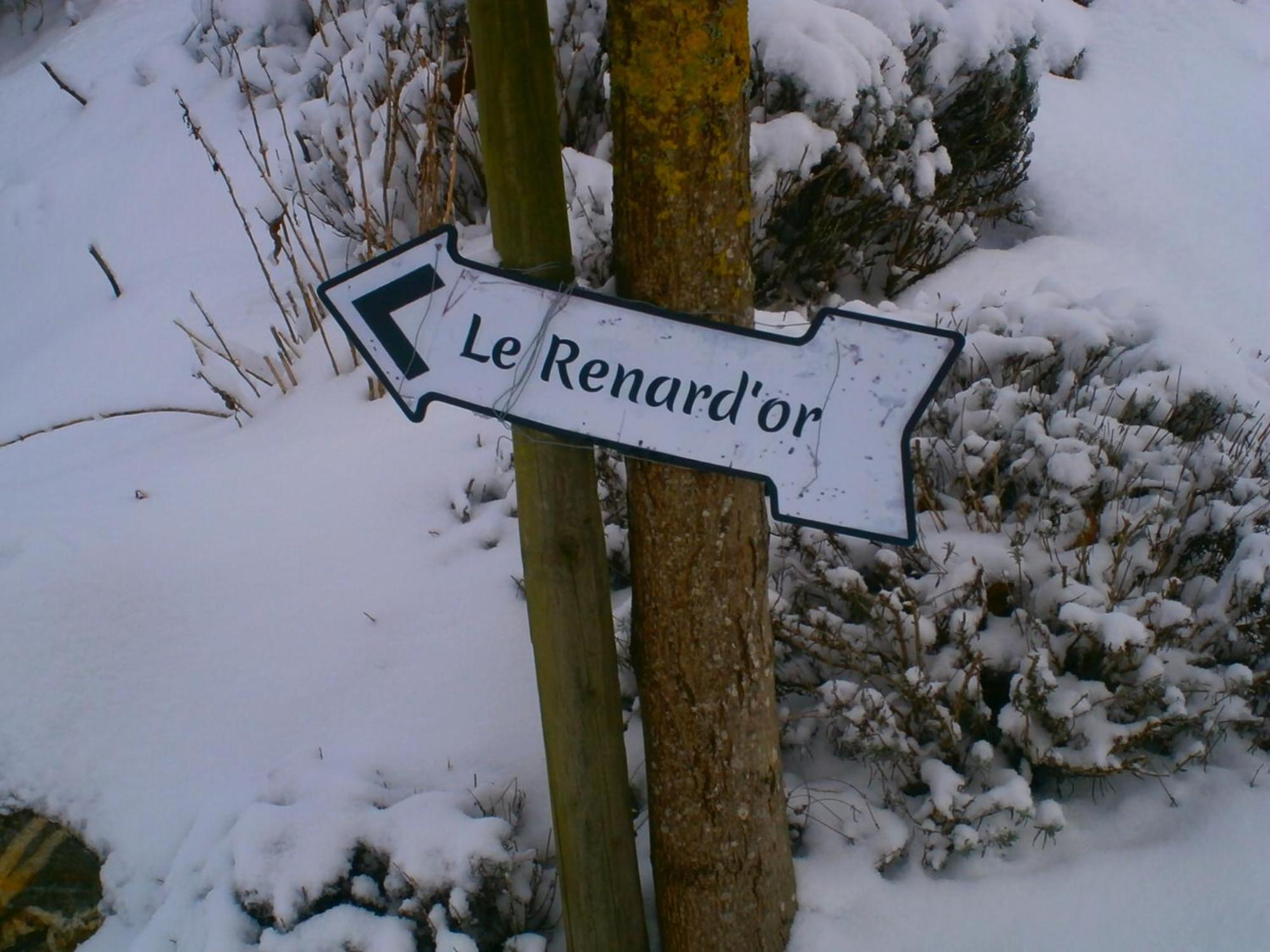 Bed and Breakfast Le Renard'Or à Trois-Ponts Extérieur photo